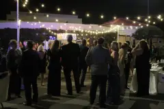 image-slider-with-thumbnail3.jpeg